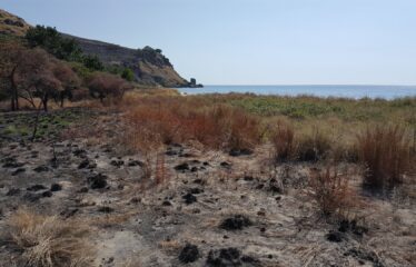Labuan Bajo Long Beach – 40 Hectares