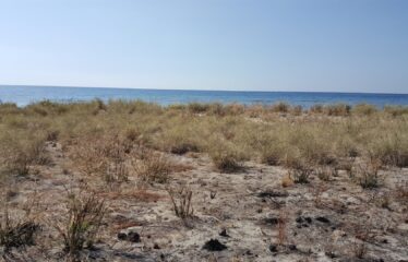 Labuan Bajo Long Beach – 40 Hectares