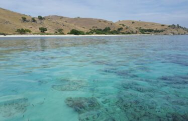 Labuan Bajo Long Beach – 40 Hectares