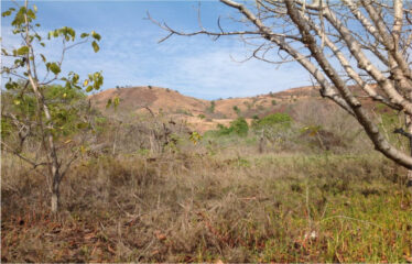 Beachfront Land with Dual Access – Labuan Bajo